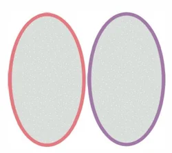 Studio M Professional Studio M Pro Pumice Stone