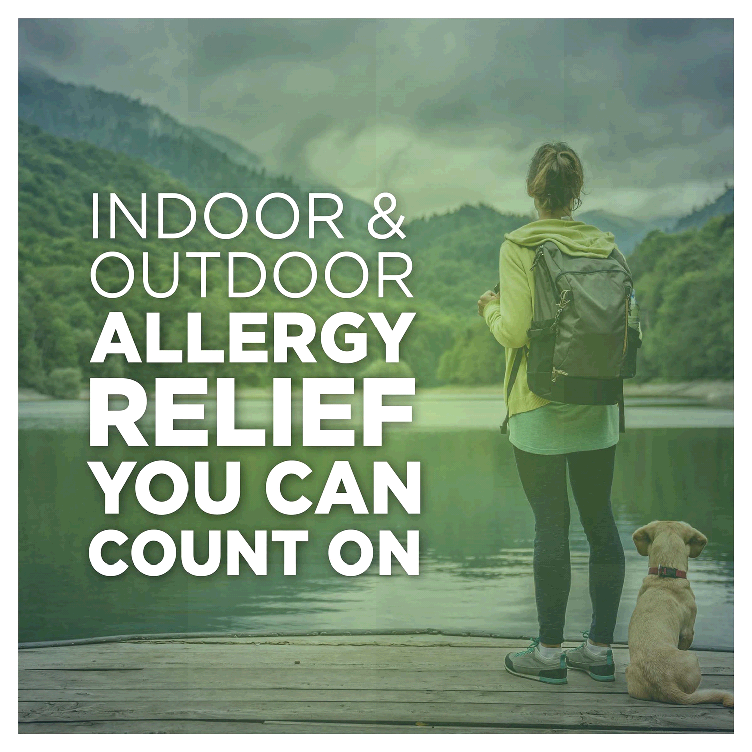 slide 5 of 5, Meijer 24 Hour Allergy, Cetirizine Hydrochloride Tablets, 30 ct