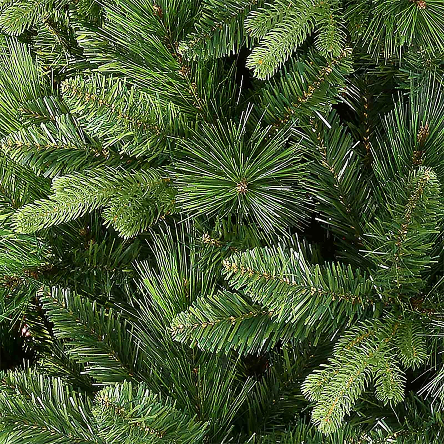 slide 2 of 3, December Home VENDOR TO CONFIRM, 7.5 ft