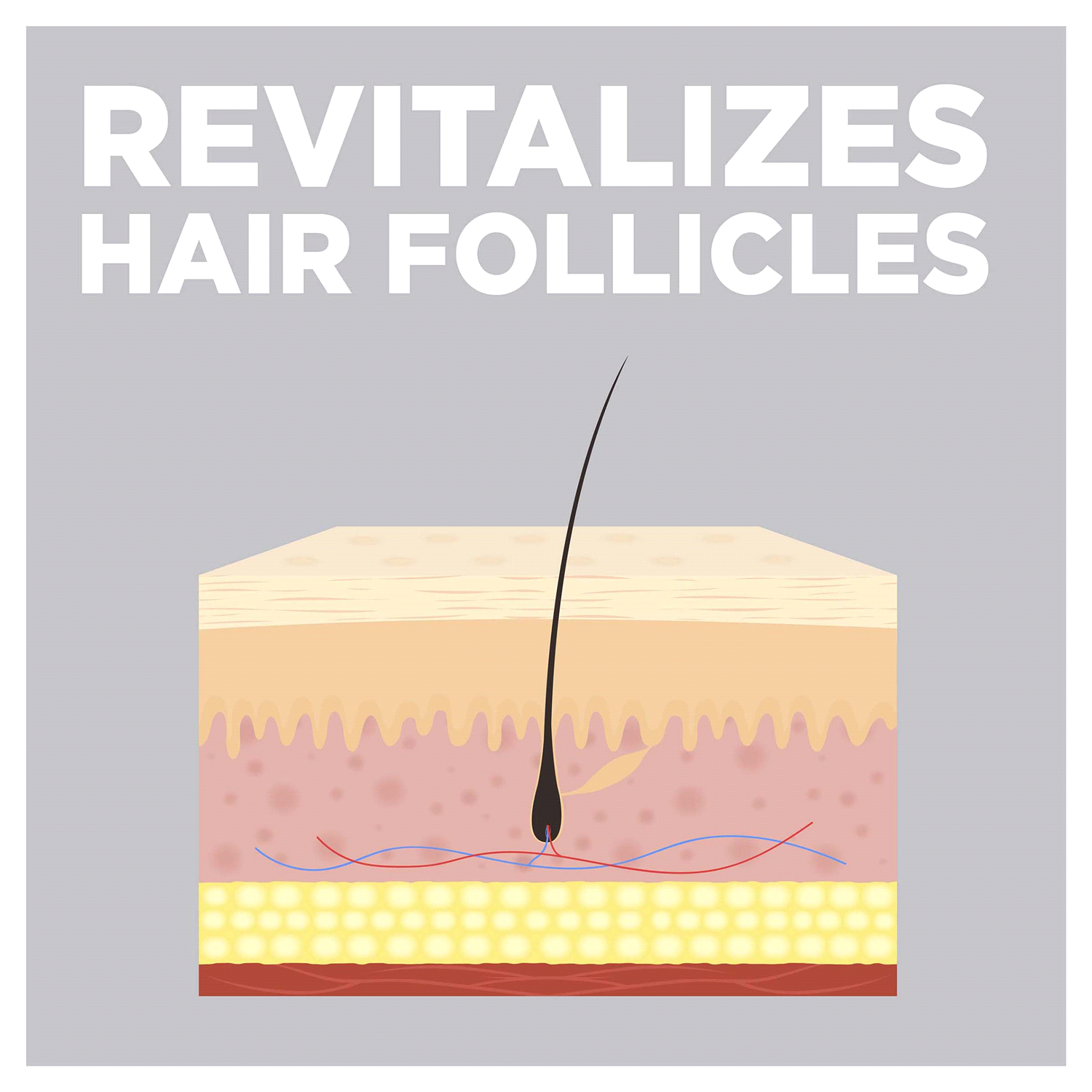 slide 5 of 5, Meijer Hair Regrowth Treatment For Women, Minoxidil Topical Solution, 2 Percent Bottles, 6 oz