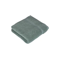 Room & Retreat Luxury Hand Towel, 16 in x 30 in, Aqua Gray