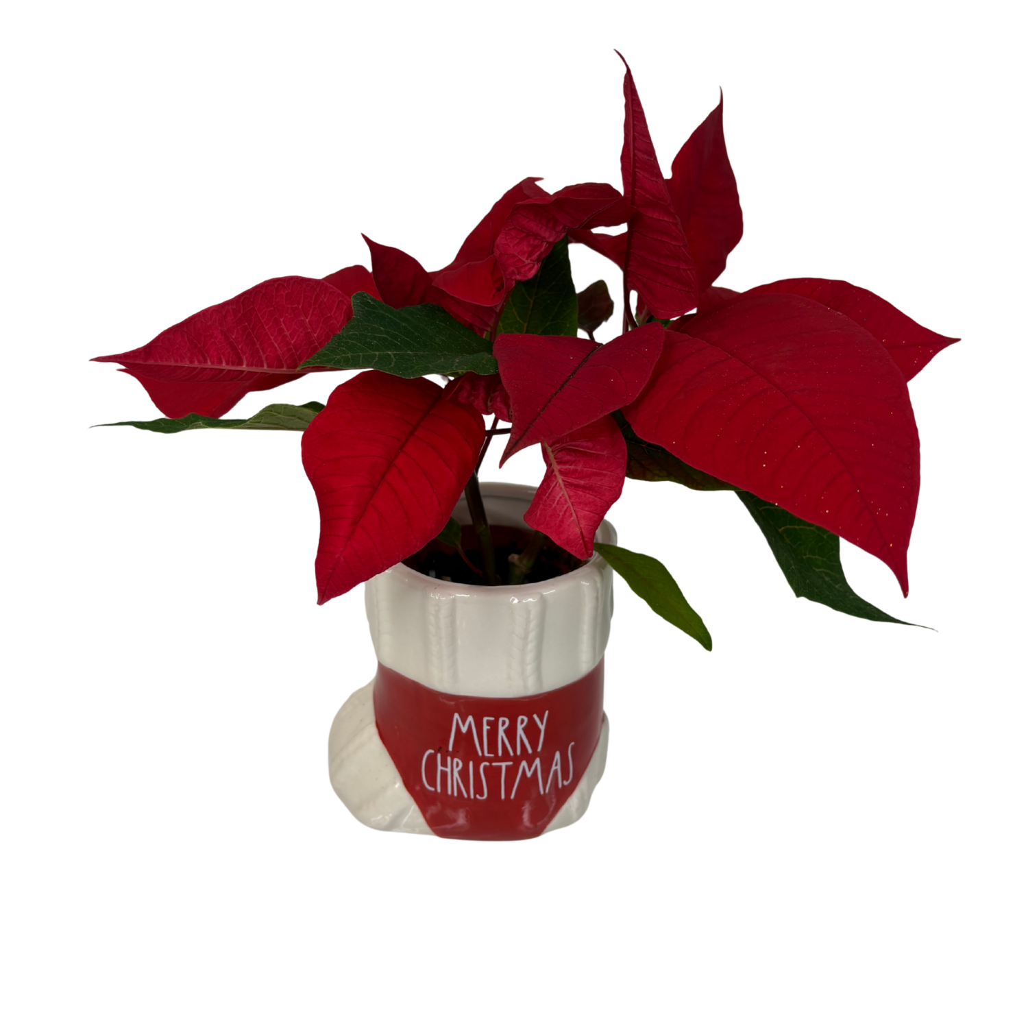 slide 2 of 2, Floral & Vine Designer Poinsettia, 2.35", 2.35 in