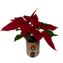 Floral & Vine Designer Poinsettia, 2.35"