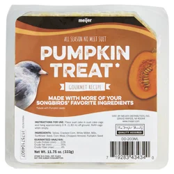 Meijer Premium Suet Cake, Pumpkin Treat