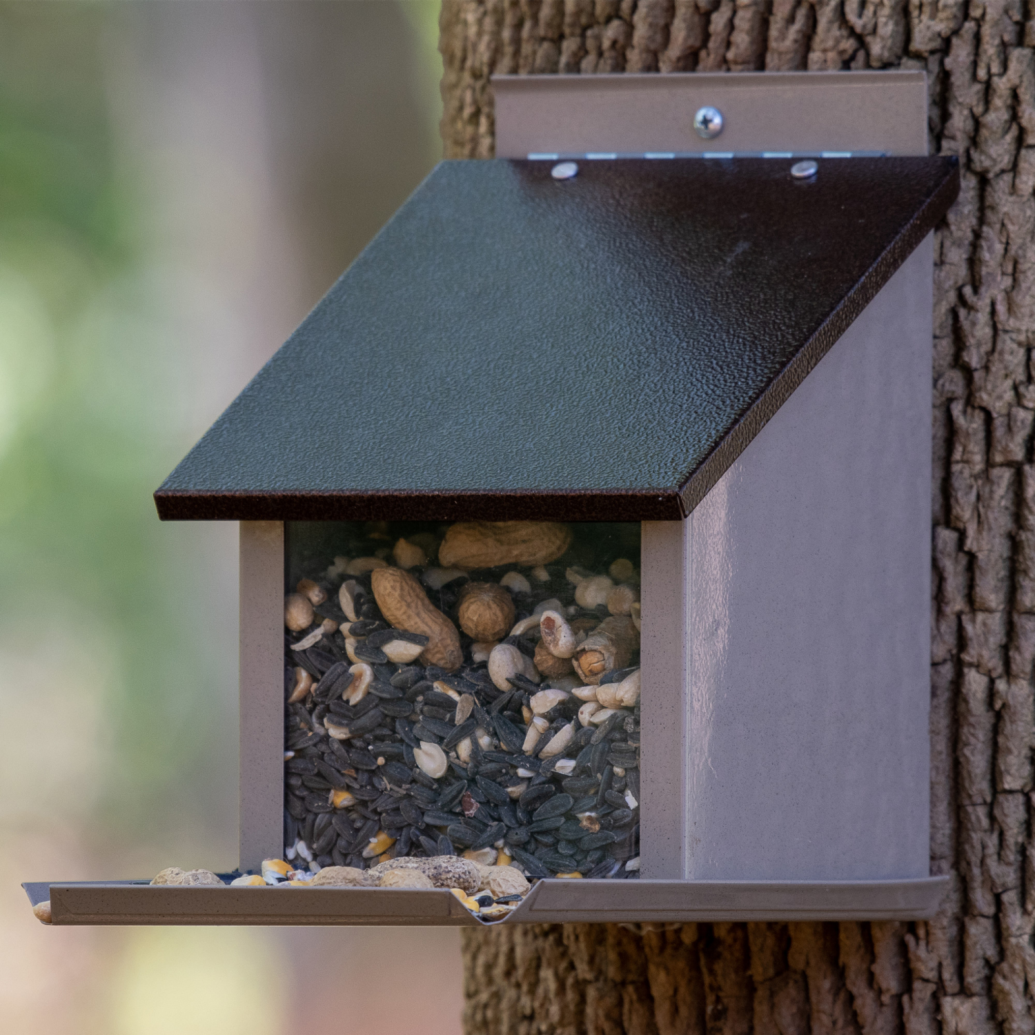 slide 2 of 3, Squirrel Lunch Box, 5.71 lb