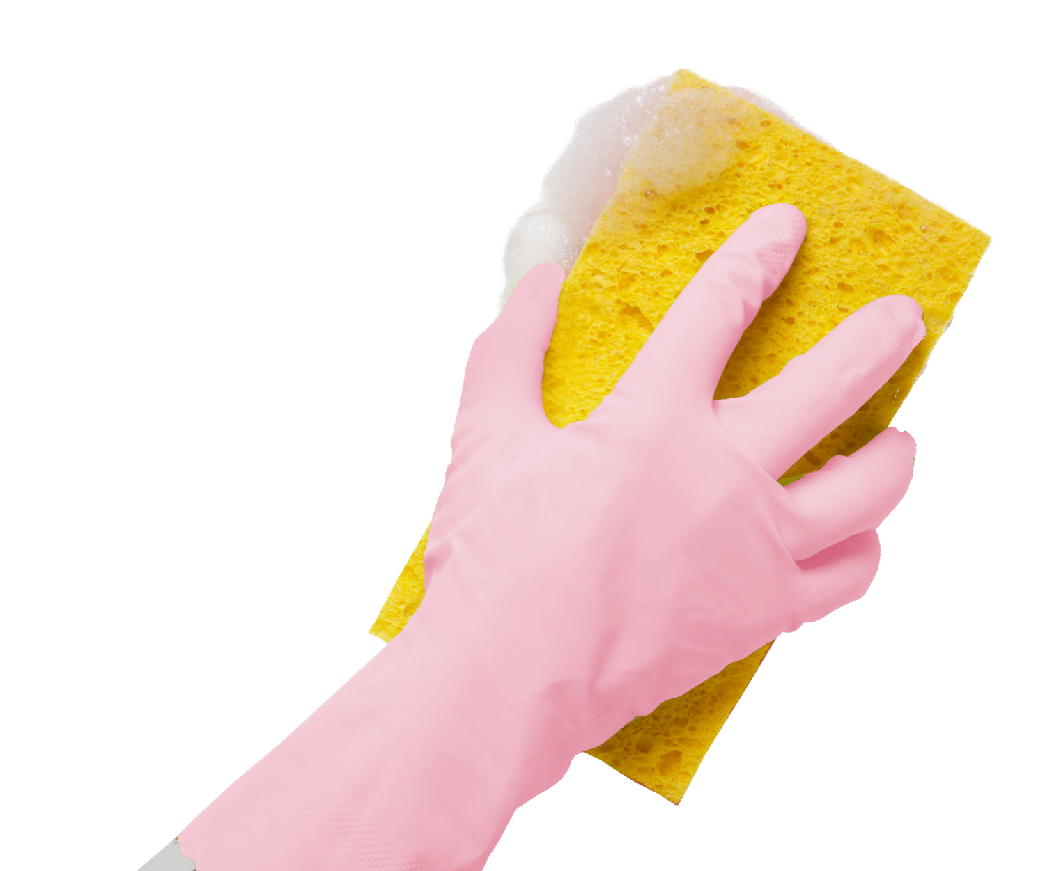 slide 4 of 4, Meijer Latex Free Comfort Gloves Large, large/1pair