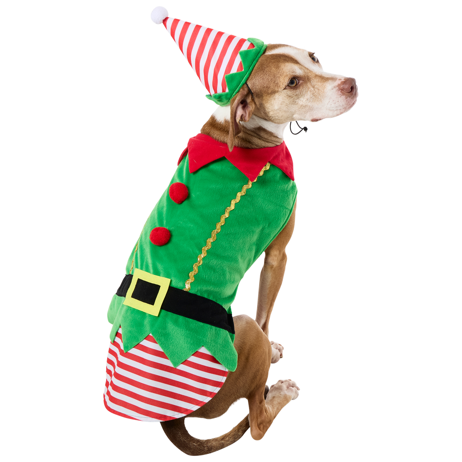 slide 5 of 6, Meijer Mjr Hly Pet Elf Costume Lg, 1 ct
