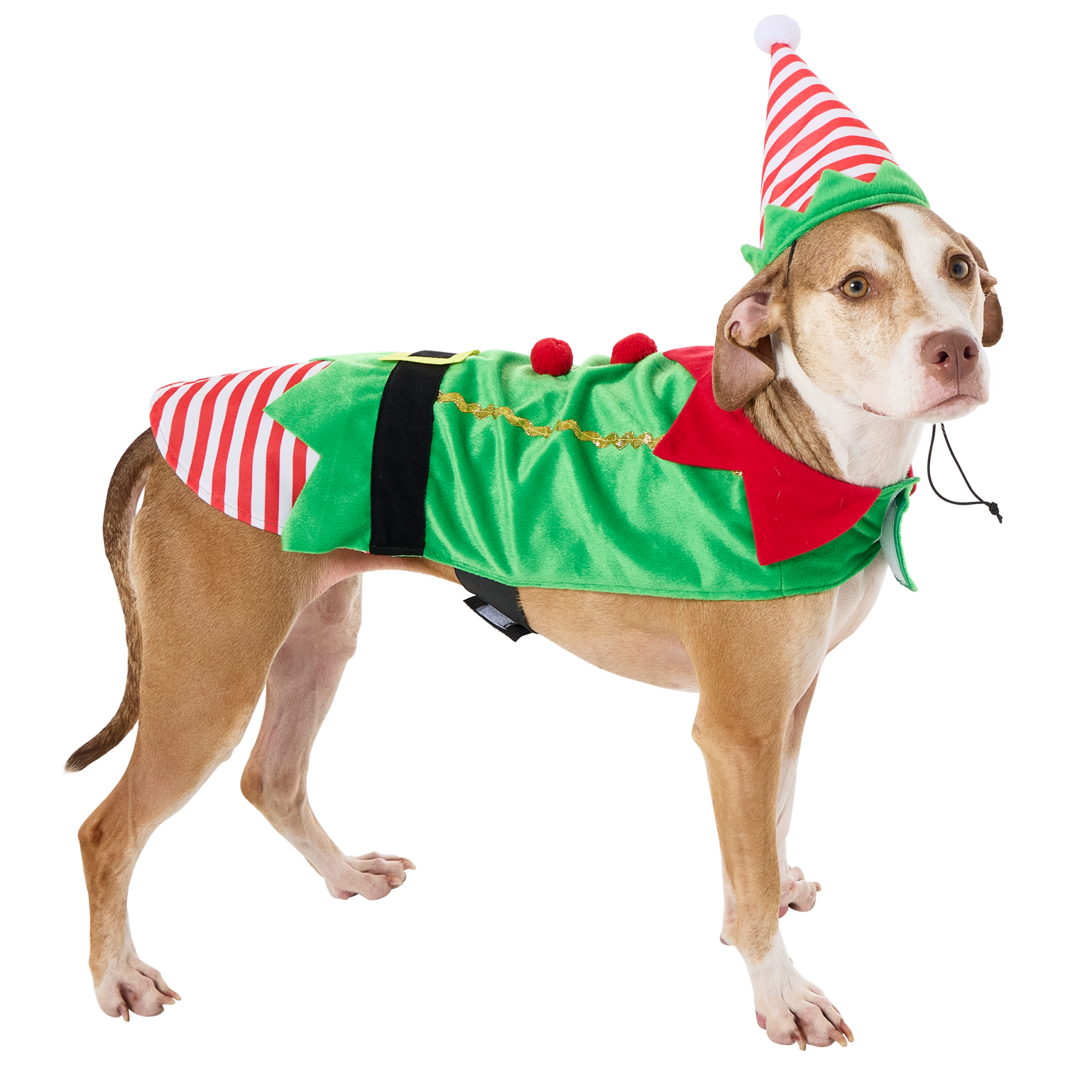 slide 6 of 6, Meijer Mjr Hly Pet Elf Costume Lg, 1 ct