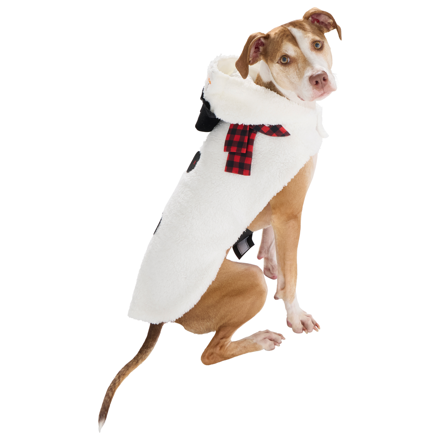 slide 5 of 5, Meijer MJR HLY PET SNOWMAN COSTUME SM, 1 ct