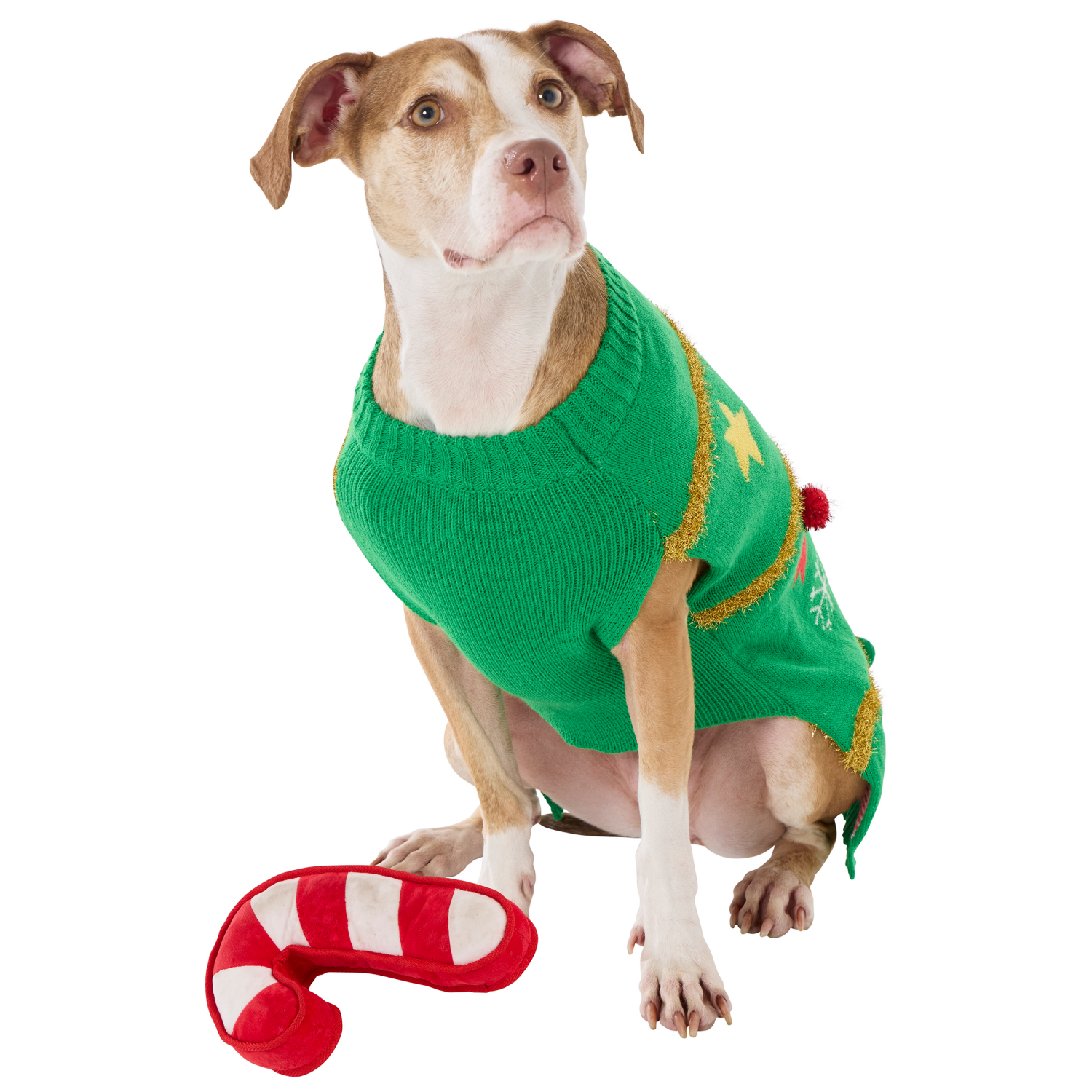 slide 7 of 7, Meijer Mjr Hly Pet Ugly Xmas Sweater Green Lg, 1 ct