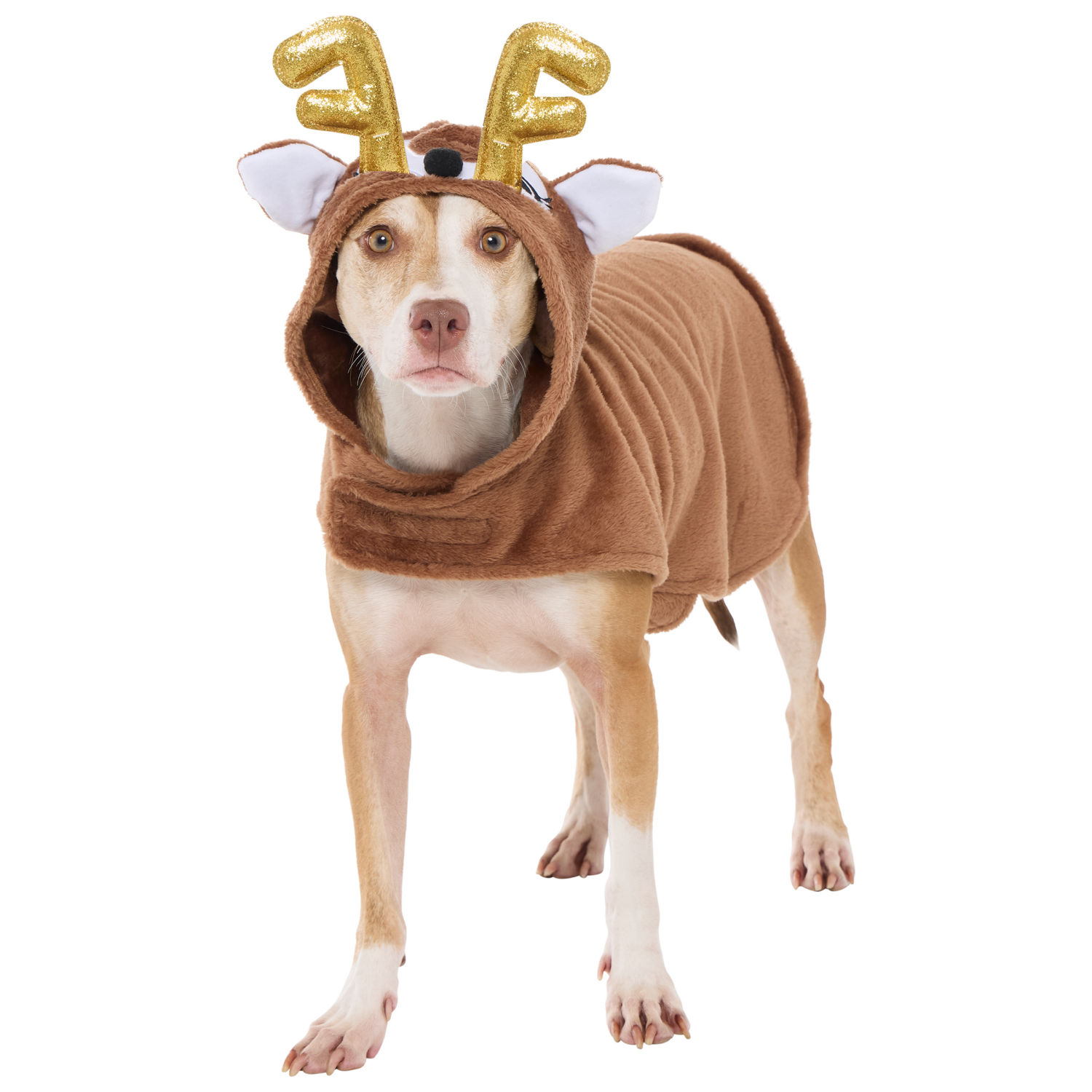 slide 4 of 5, Meijer MJR HLY PET REINDEER COSTUME SM, 1 ct