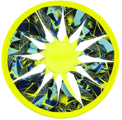 Meijer Water Flying Disc