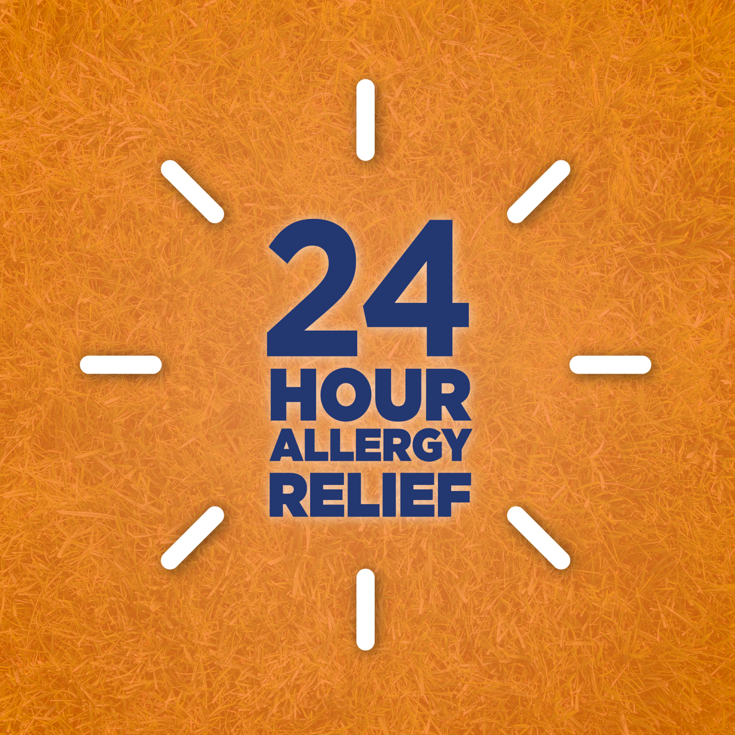 slide 3 of 7, Meijer Levocetirizine Dihydrochloride Tablets, 5 mg, All Day Allergy Relief, 35 ct, 5 mg, 35 ct