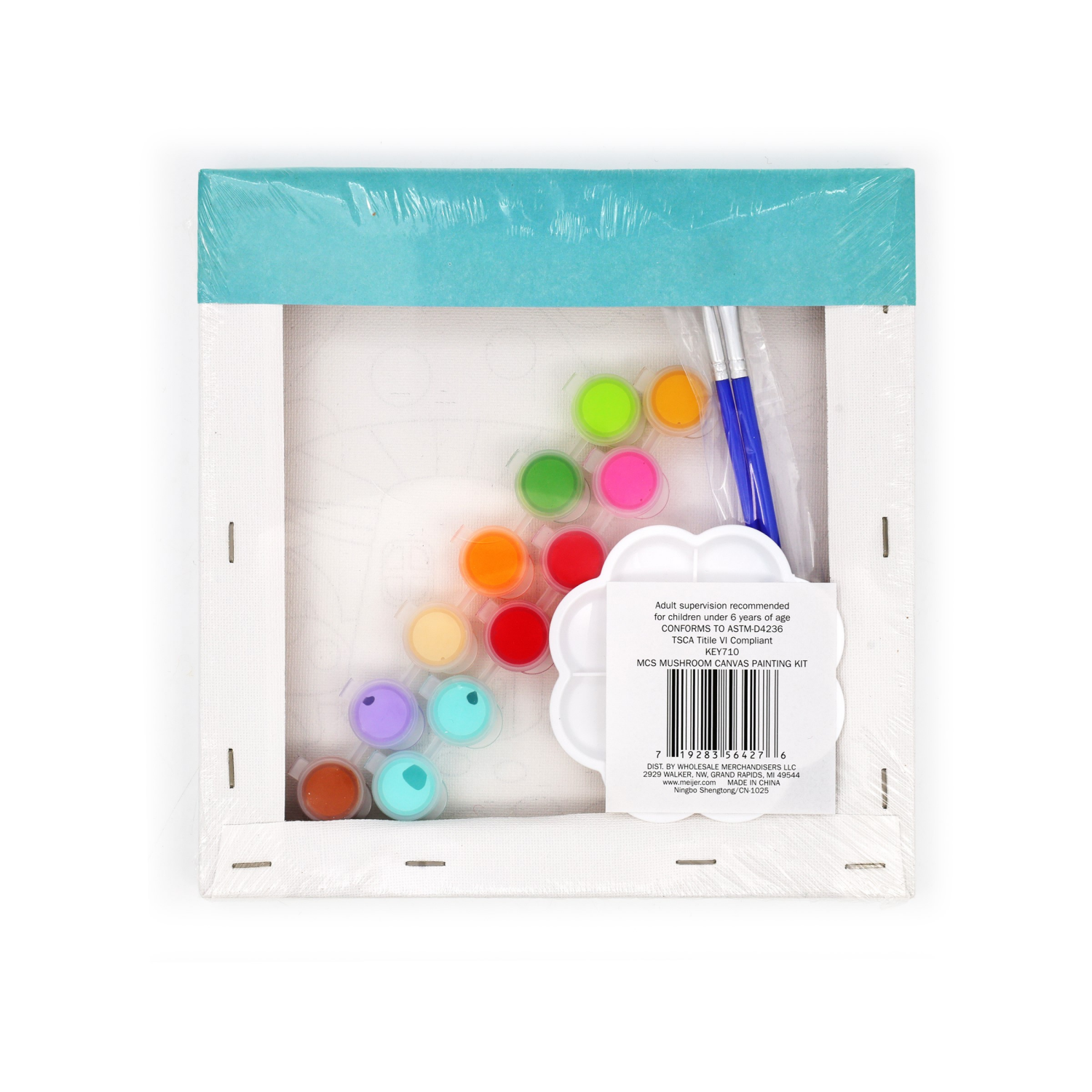 slide 2 of 3, Meijer Corporate Seasonal Easter Mushroom Canvas Painting Kit, 8 In, 1 Ct, 1 ct