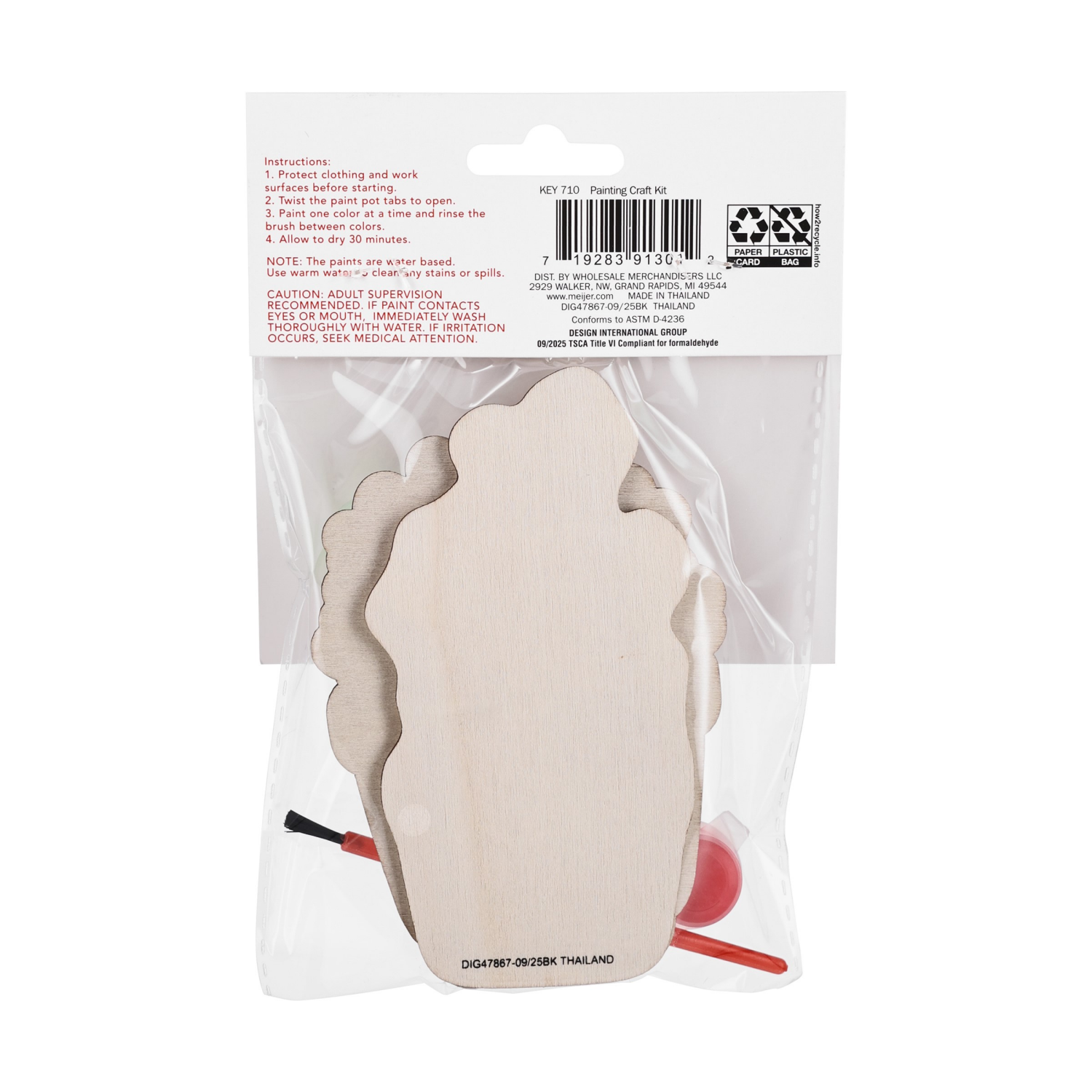 slide 2 of 3, Meijer Corporate Seasonal Valentine's Day Painting Craft Kit, Succulents, 4 in