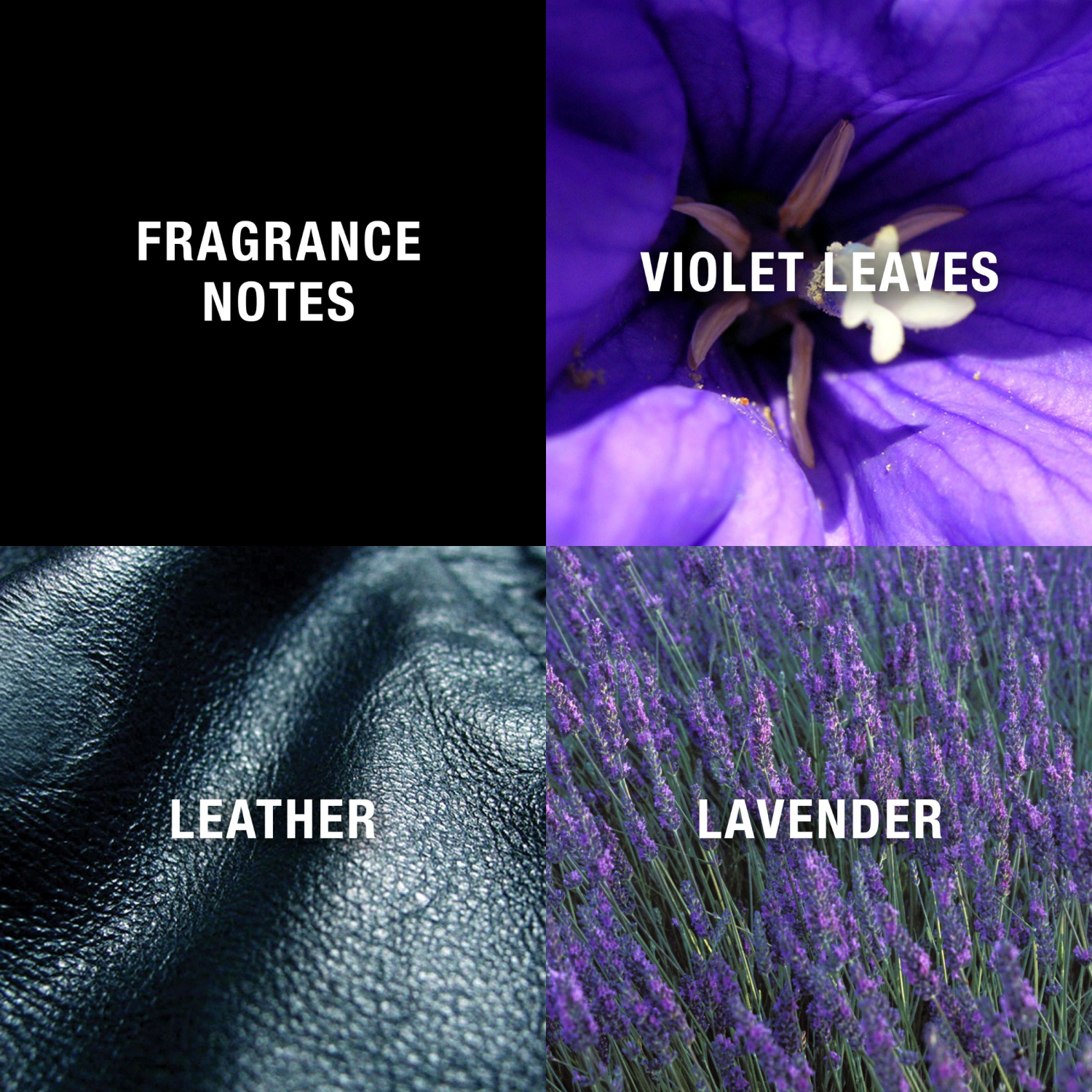 slide 5 of 7, Curve Black by Curve Eau de Cologne Men's Cologne, 4.2 fl oz