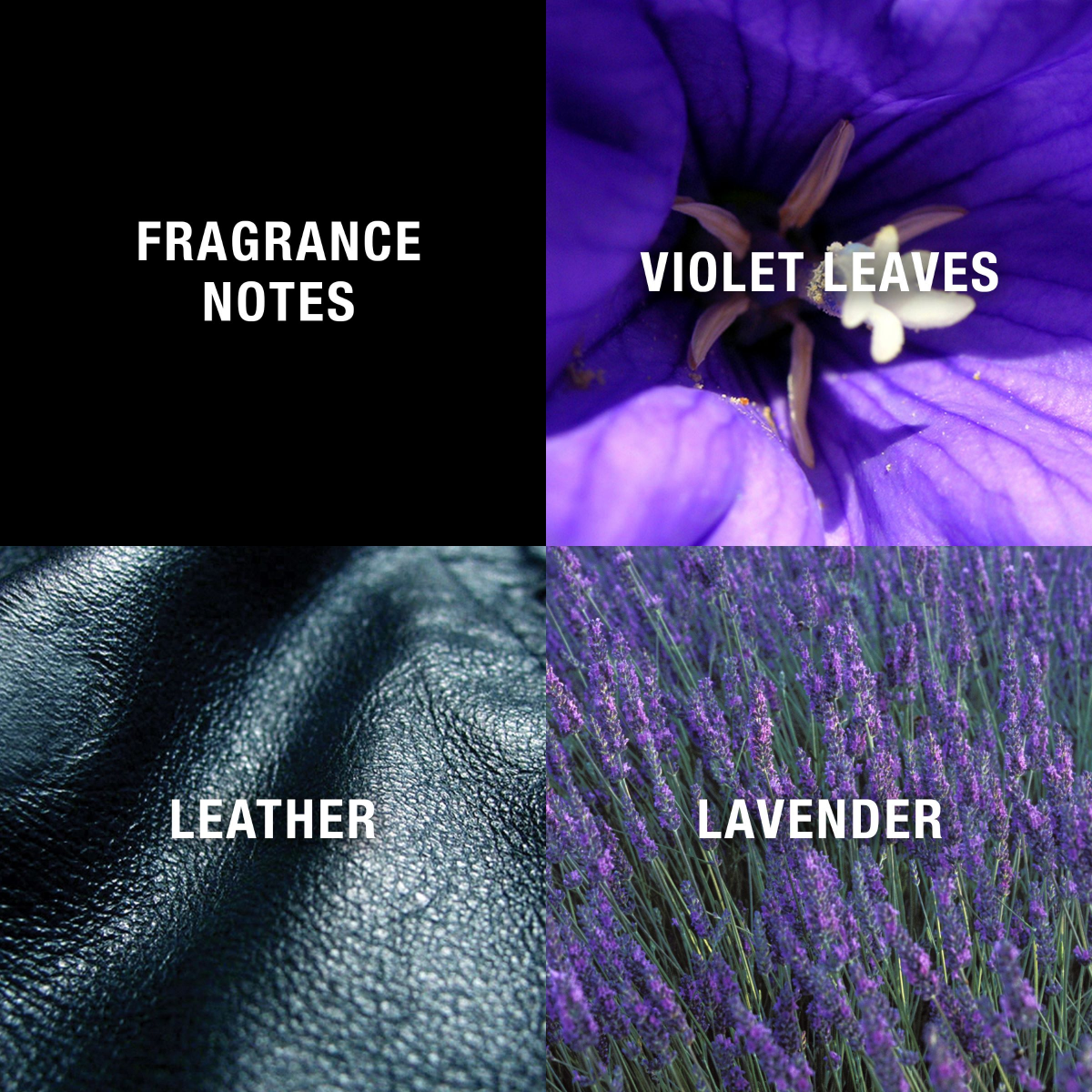 slide 7 of 8, Curve Cologne Spray 2.5 oz, 2.5 oz