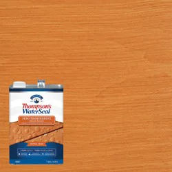Thompsons Waterseal Semi-Transparent Wood Sealer Natural Cedar Gal