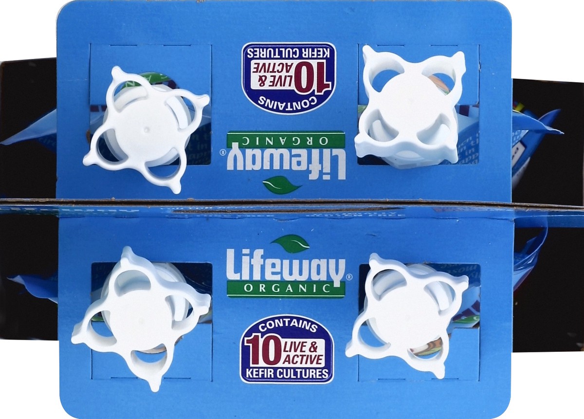 slide 2 of 4, Lifeway Kefir 4 ea, 4 ct