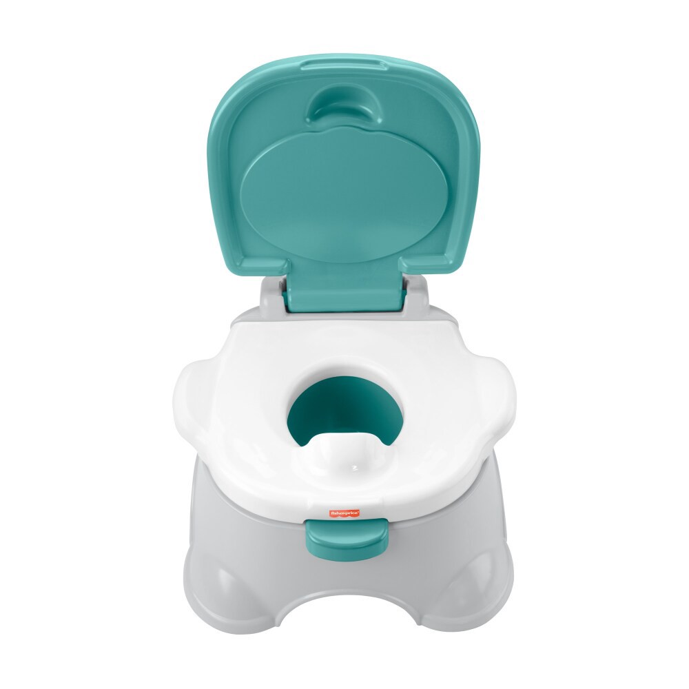 FisherPrice 3In1 Potty 1 ct Shipt