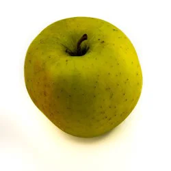 Goldn Delicious Washington Apples Bag