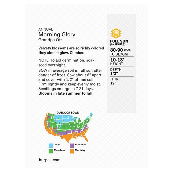 slide 5 of 5, Burpee Morning Glory Granpa Ott Seeds, 1 ct