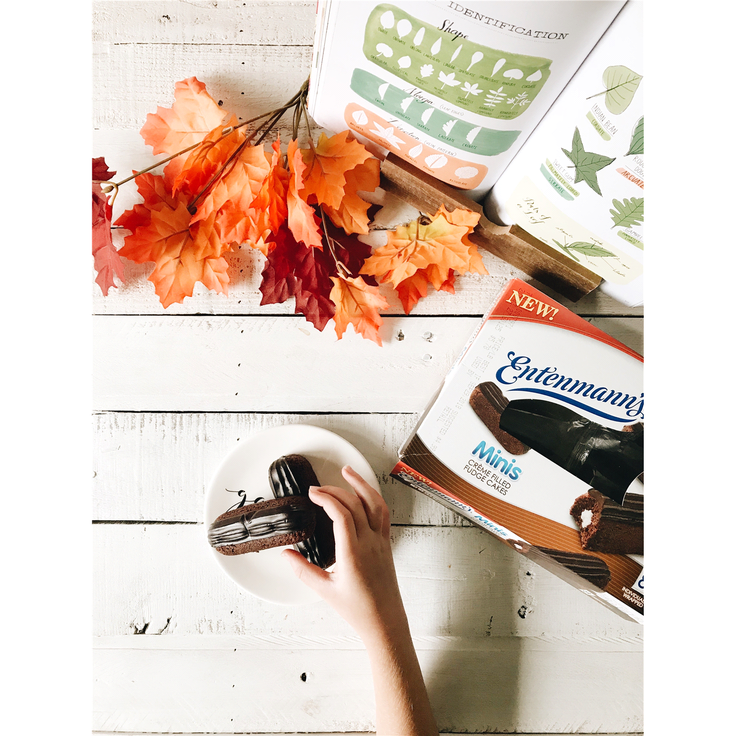 slide 5 of 5, Entenmann's Entenmanns Mini Creme Filled Fudge Cakes 8 Ct 13.8 Oz, 8 ct