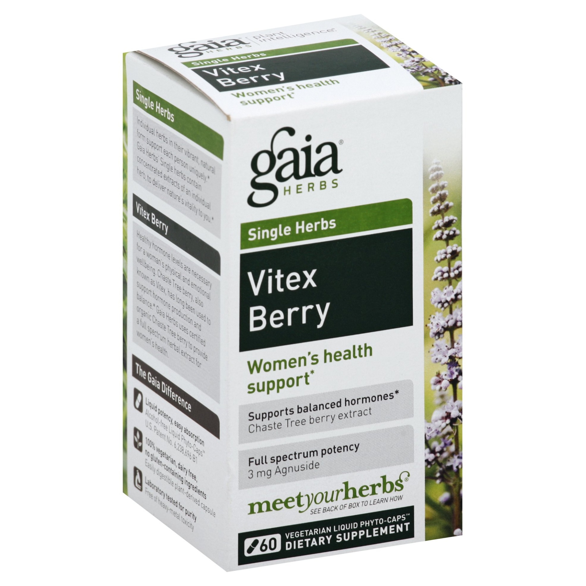 slide 1 of 1, Gaia Herbs Women's Vitex Berry Vegan Herbal Supplement, 60 ct