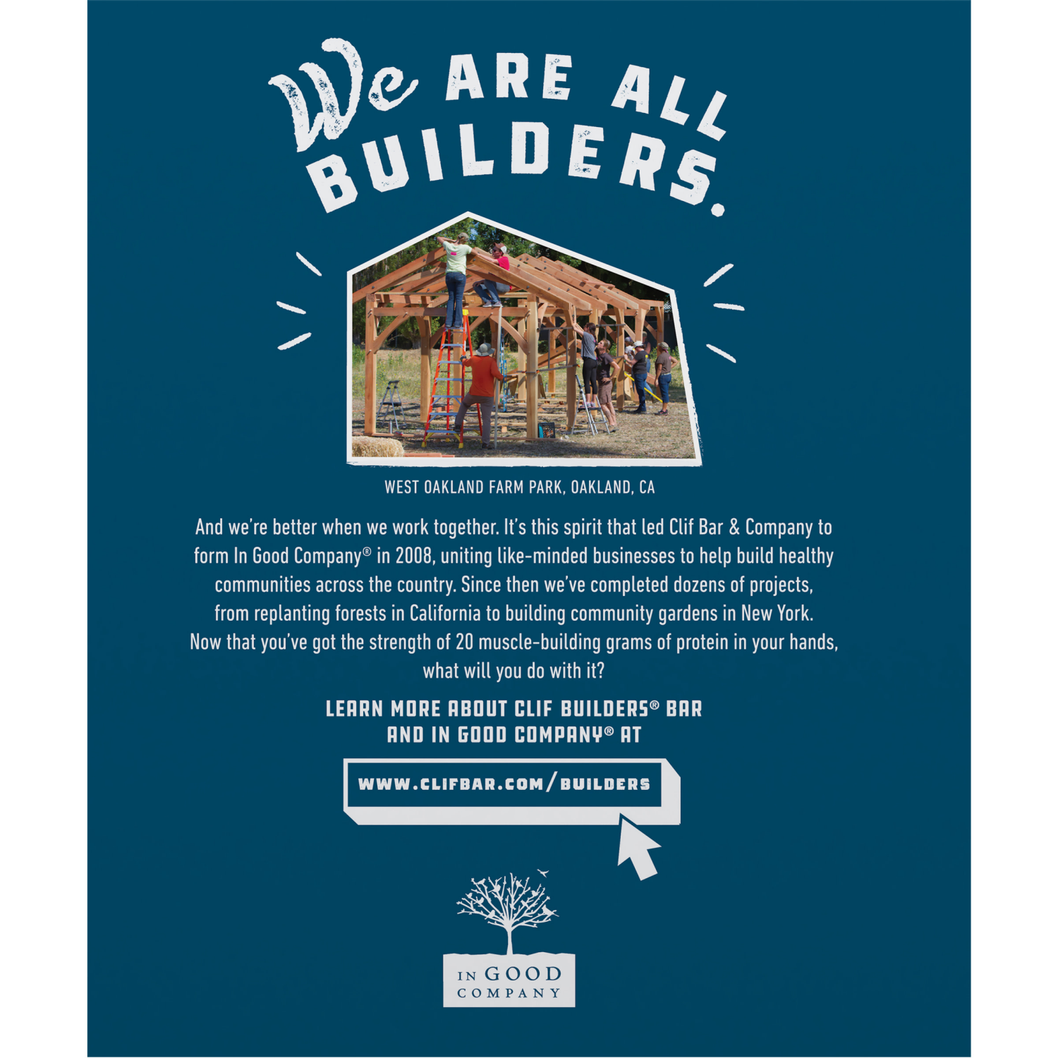 slide 8 of 8, CLIF Builders CLIF BUILDERS Protein Bars - Chocolate Mint Flavor - 20g Plant Based Protein - Gluten Free - Non-GMO - Low Glycemic - No Artificial Sweeteners - Value Pack, 2.4 oz. (12 Count), 12 ct