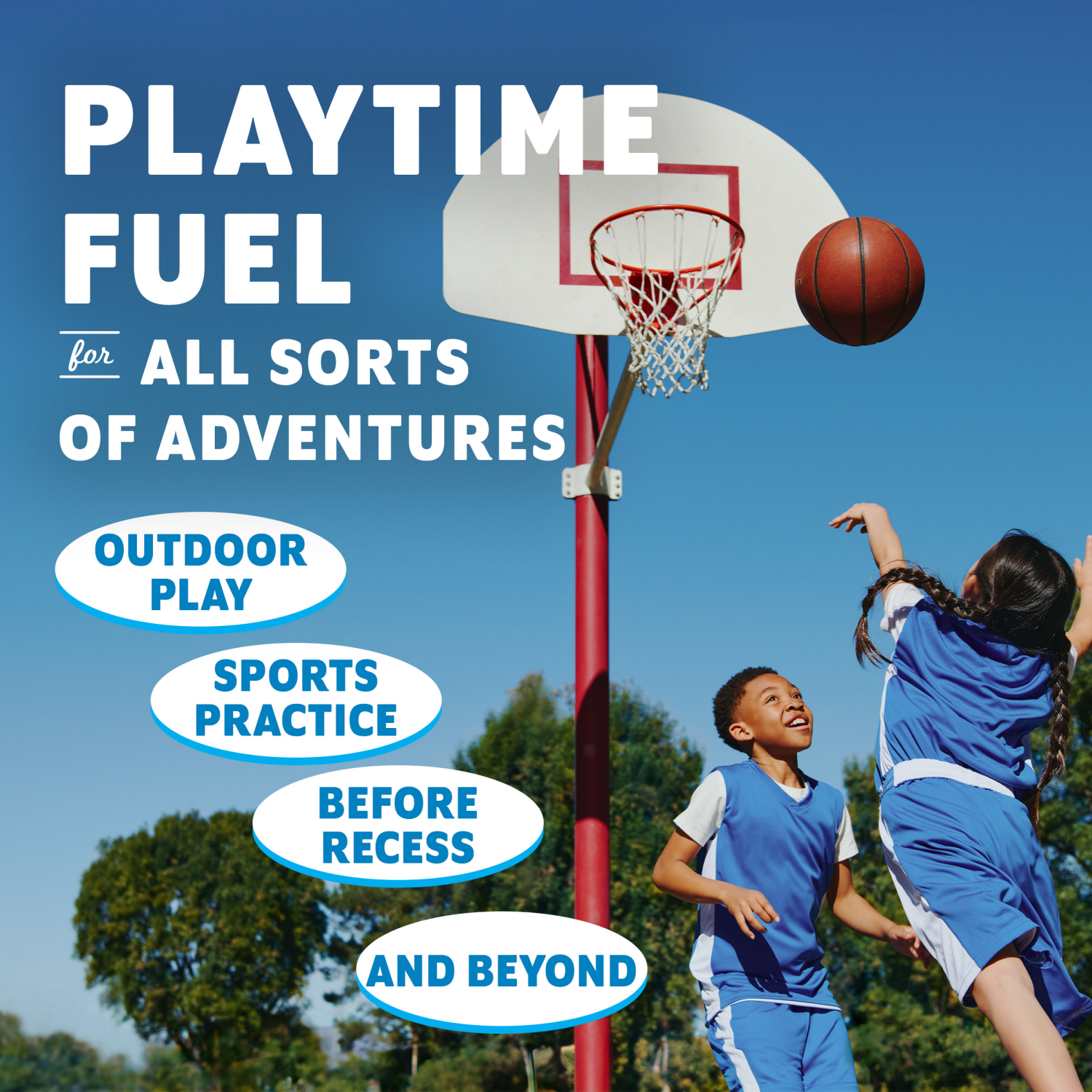 slide 7 of 8, CLIF Organic Zbar Chocolate Mint Protein Bars, 5 ct