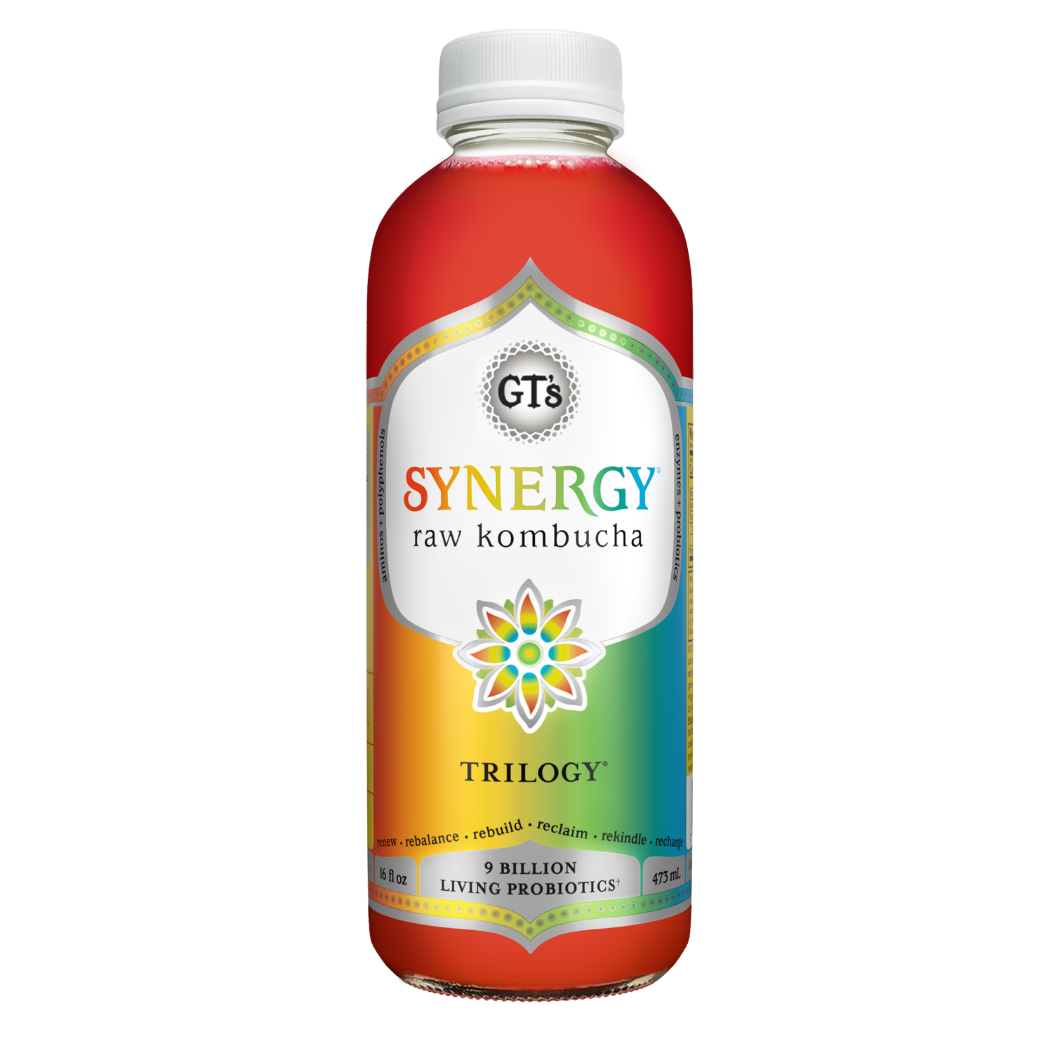 slide 1 of 2, Gt's Synergy Kombucha Trilogy, 16 Oz, 16 oz