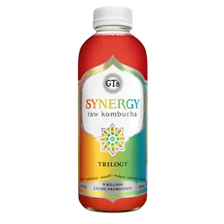 GT's Organic Trilogy Kombucha 16 fl oz
