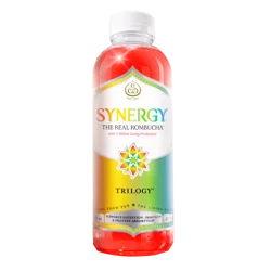 Gt's Synergy Kombucha Trilogy, 16 Oz