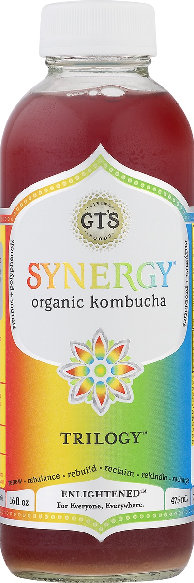 slide 9 of 10, GT's Synergy Trilogy Organic Raw Kombucha, 16 fl oz