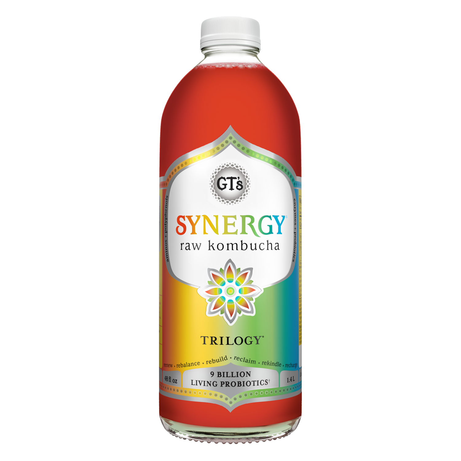 slide 1 of 1, GT's Trilogy Kombucha 48 fl oz, 48 fl oz