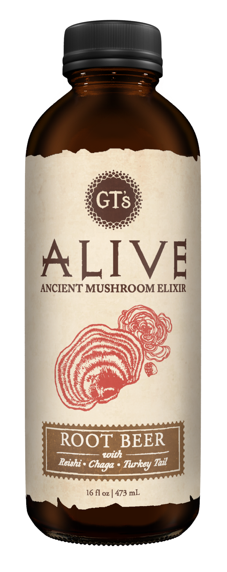slide 1 of 2, Alive! Root Beer Ancient Mushroom Elixir 16 fl oz, 16 fl oz