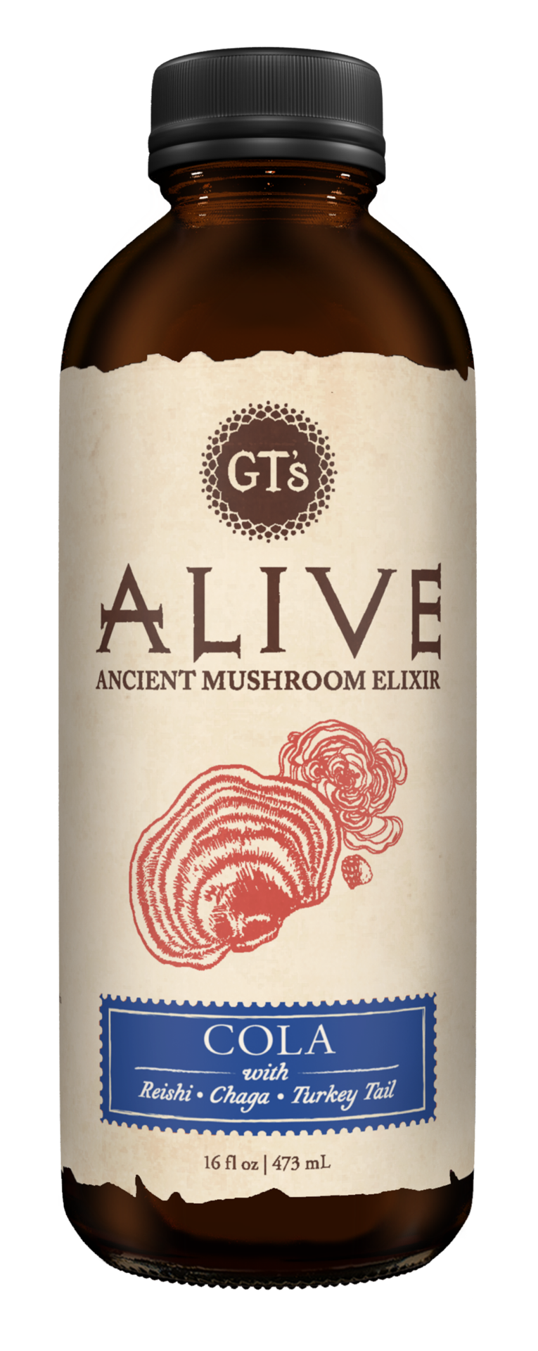 slide 1 of 2, Alive! Cola Ancient Mushroom Elixir 16 fl oz, 16 fl oz