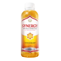 Gt's Synergy Kombucha Gingerade, 16 Oz
