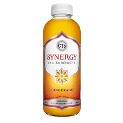 GT's Gingerade Kombucha 16 fl oz