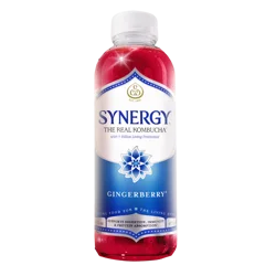 Gt's Synergy Kombucha Gingerberry, 16 Oz