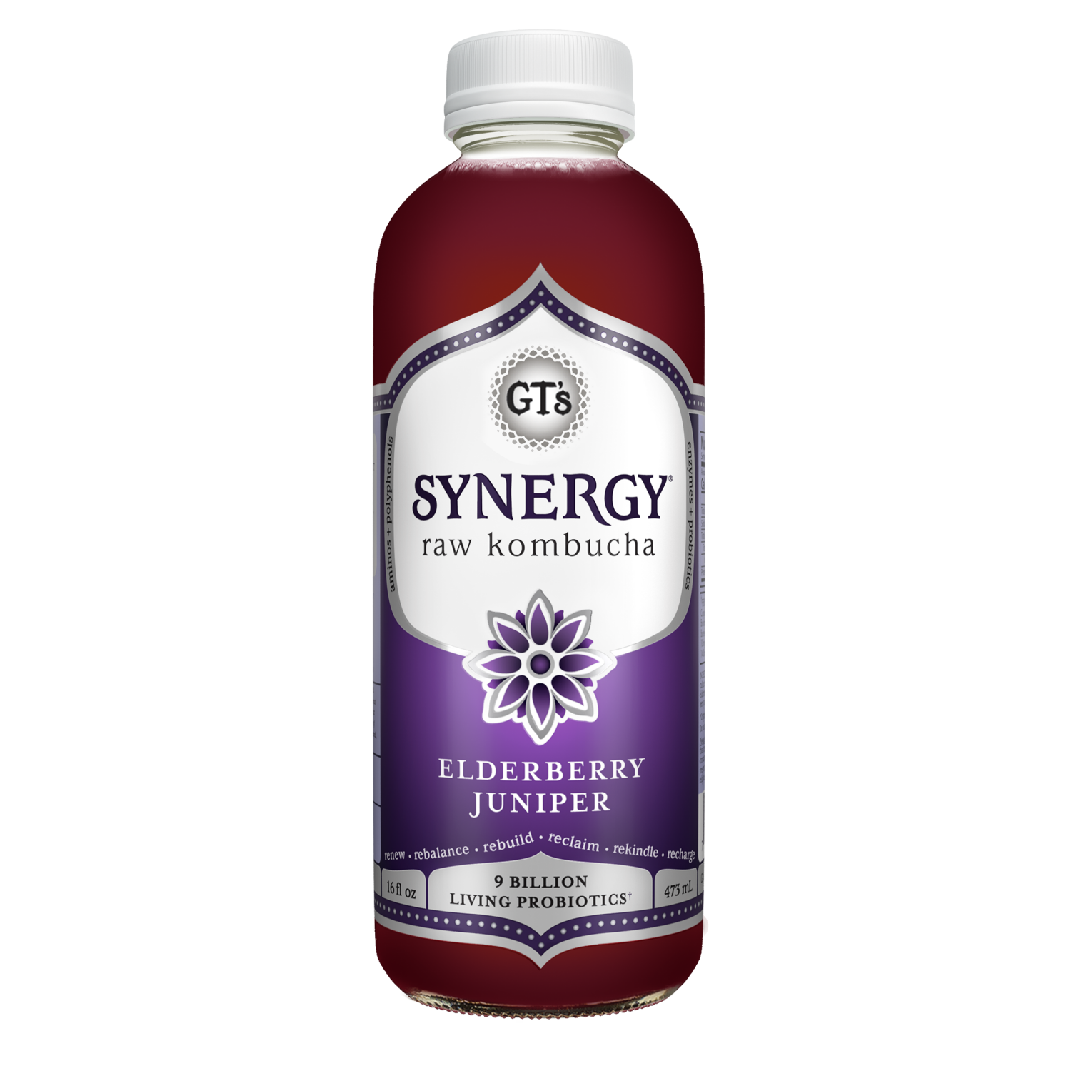 slide 1 of 2, GT's Elderberry Juniper Kombucha - 16 fl oz, 16 fl oz