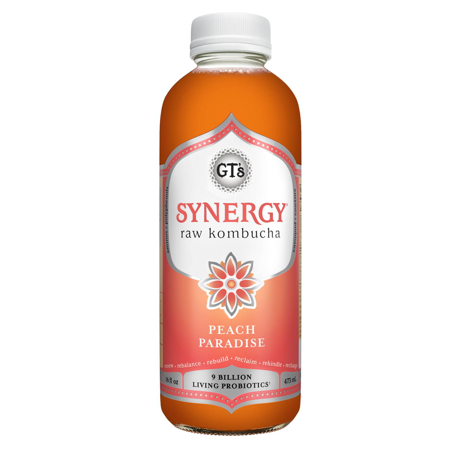 slide 1 of 1, GT's Peach Paradise Kombucha 16 fl oz, 16 oz