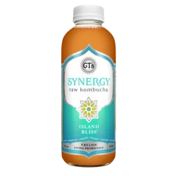 GT's Island Bliss Kombucha 16 fl oz