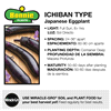 slide 6 of 9, Bonnie Plants  Eggplant Ichiban, 19.3 oz