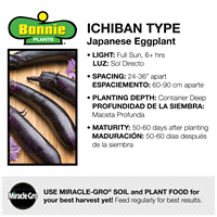 slide 7 of 9, Bonnie Plants  Eggplant Ichiban, 19.3 oz