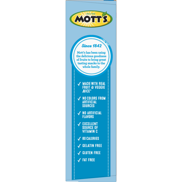 slide 13 of 29, MOTTS Mott's Animals Assorted Fruit Flavored Snacks 10 Count, 10 ct