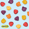 slide 9 of 29, MOTTS Mott's Animals Assorted Fruit Flavored Snacks 10 Count, 10 ct