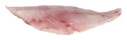 Red Snapper Fillet
