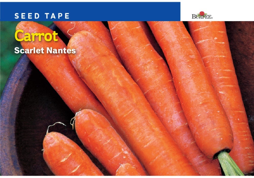 slide 1 of 1, Burpee Scarlet Nantes Carrot Seed Tape, 1 ct