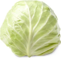 Cabbage Green